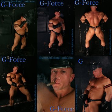 DVD 311 Tauro in Military & G-Force in Leather